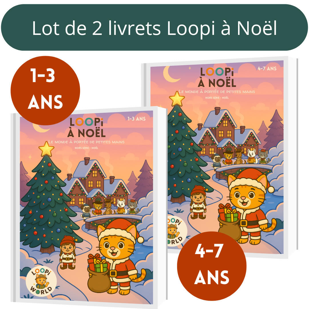 Lot de 2 livrets Loopi à Noël
